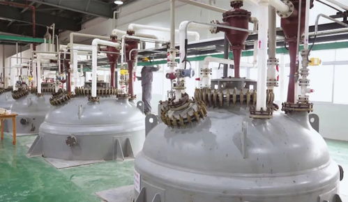 枝江環(huán)?？萍?打造一流營商環(huán)境，鑄就綠色發(fā)展品牌