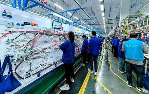 商洛高新區(qū)弗迪科技線束工廠四期投產(chǎn) 環(huán)?？萍假x能汽車產(chǎn)業(yè)高質(zhì)量發(fā)展